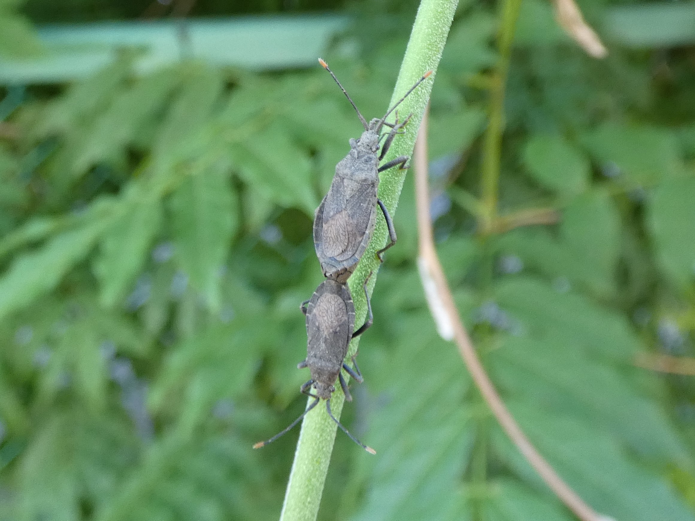 photo_1